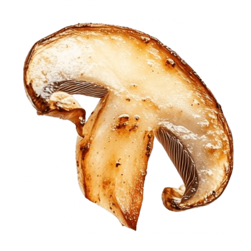 mushroom_2