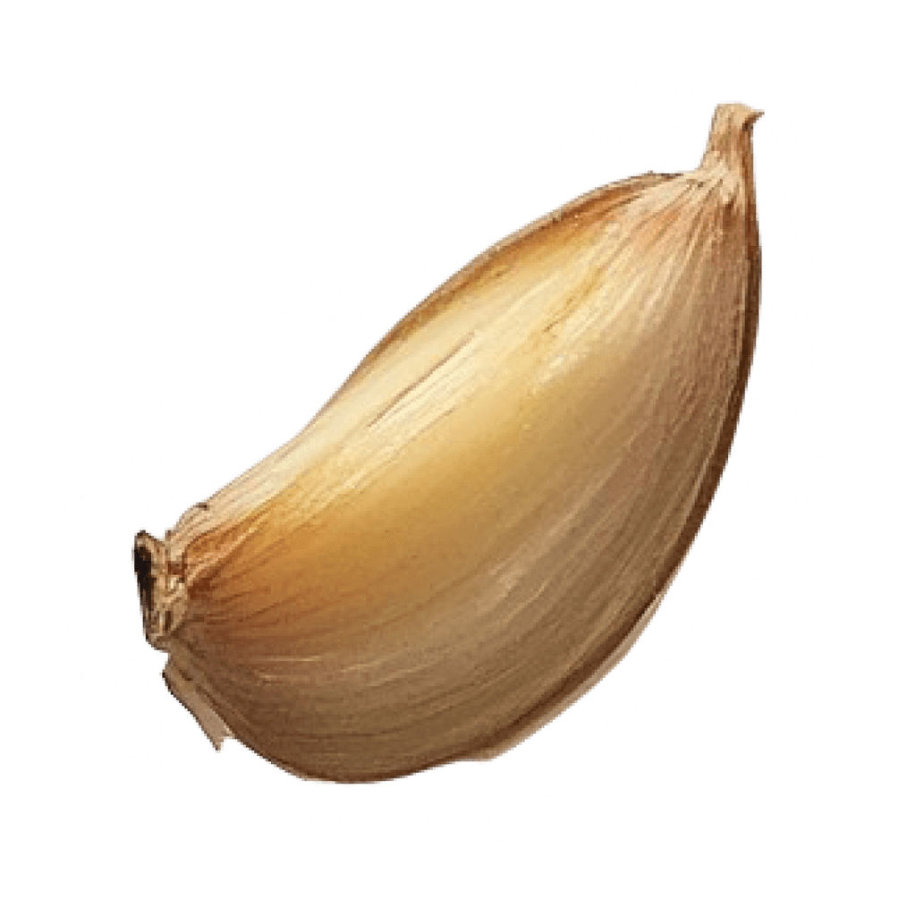 garlic_3